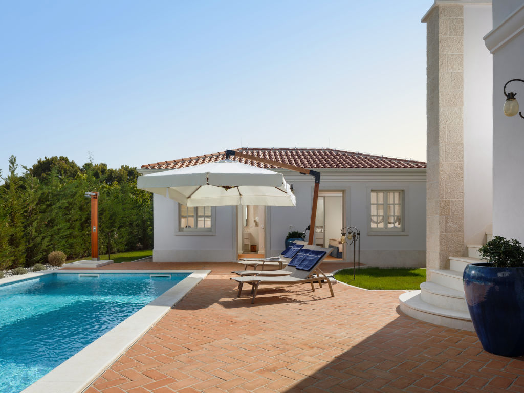 Celeste | Boeken bij Flickmyhouse