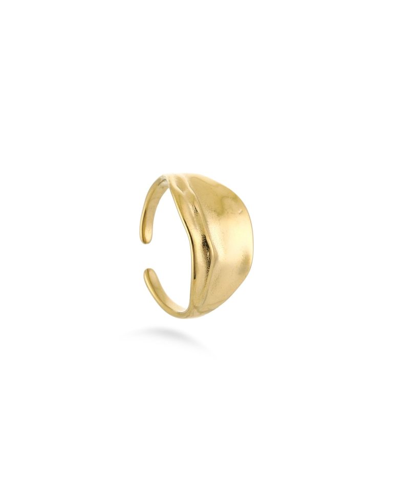 Gouden Motief - Ring | Olivia & Kate