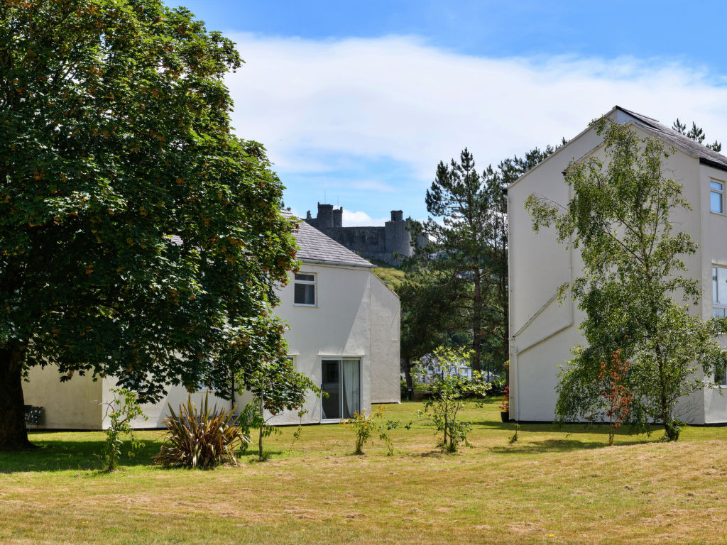 Golygfa o'r Castell - Castle Views | Boeken bij Flickmyhouse