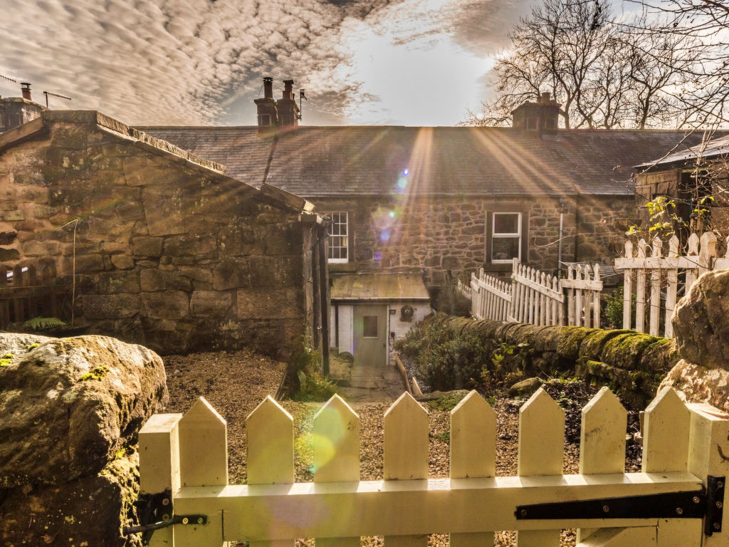 Tring-on-Tor | Boeken bij Flickmyhouse