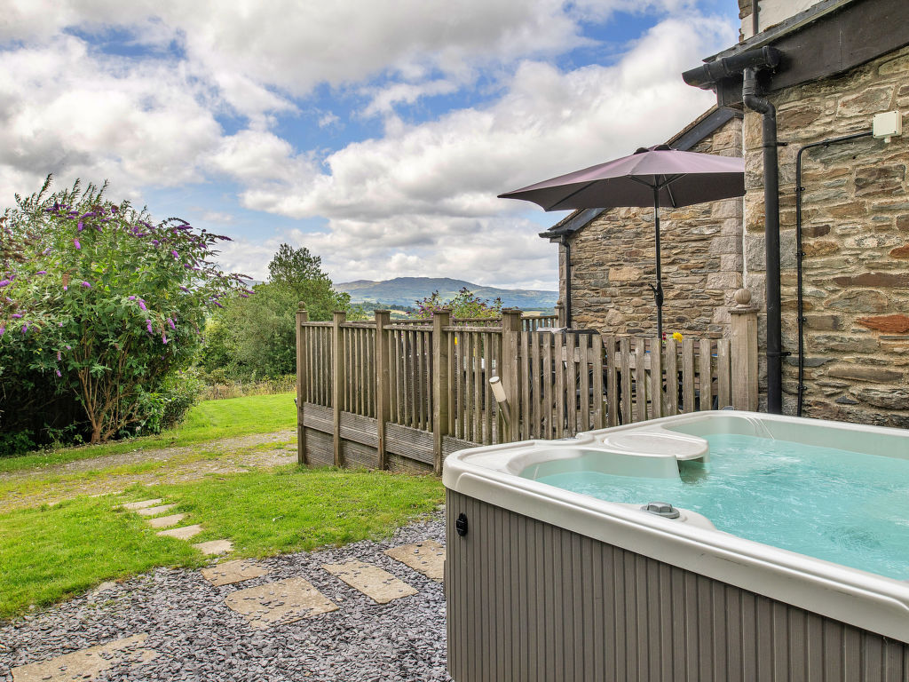 Buzzards View | Boeken bij Flickmyhouse