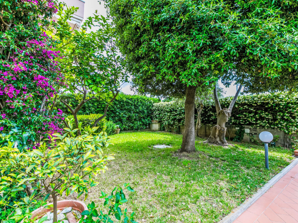 Piccolo Leccio | Boeken bij Flickmyhouse