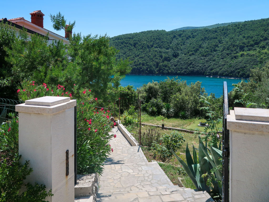 Dina | Boeken bij Flickmyhouse