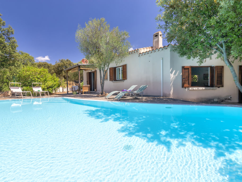 Chidda Di | Boeken bij Flickmyhouse