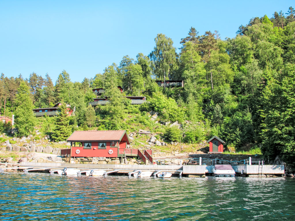 Odden / Holmen | Boeken bij Flickmyhouse