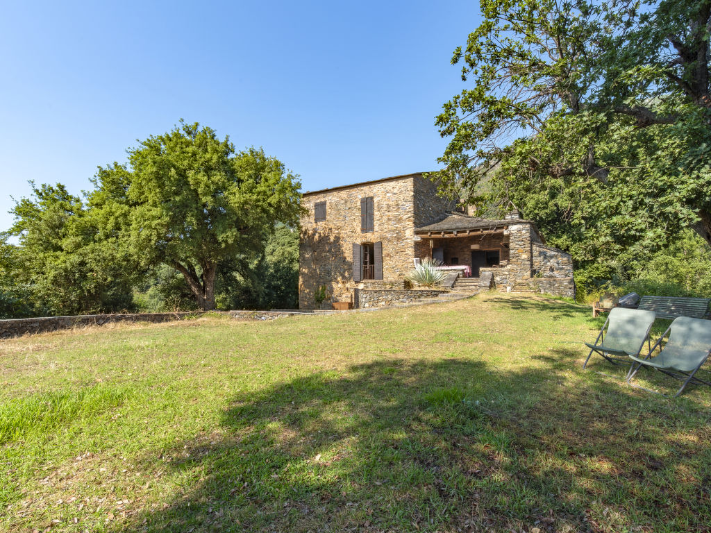 Formicaccia | Boeken bij Flickmyhouse