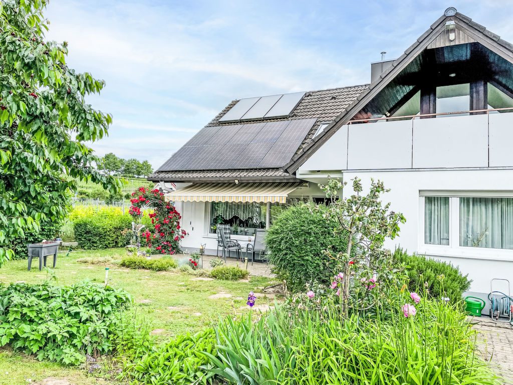 Weinbergblick | Boeken bij Flickmyhouse