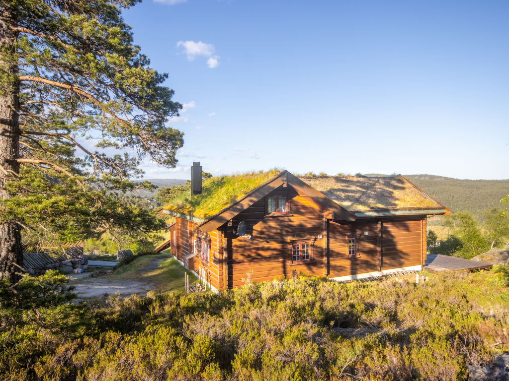 Koselia | Boeken bij Flickmyhouse