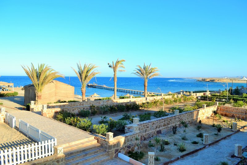 LiggingRohanou Beach Resort & Ecolodge ligt direct aan het rustige strand van de Rode Zee