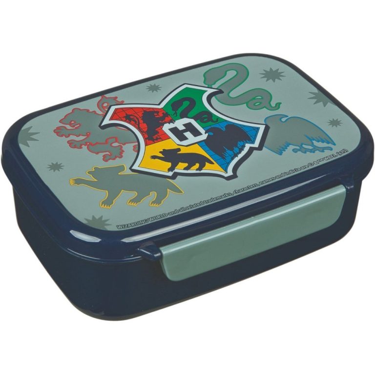 Harry Potter Lunchbox Donkerblauw/Grijs | Kopen bij Flickmyhouse