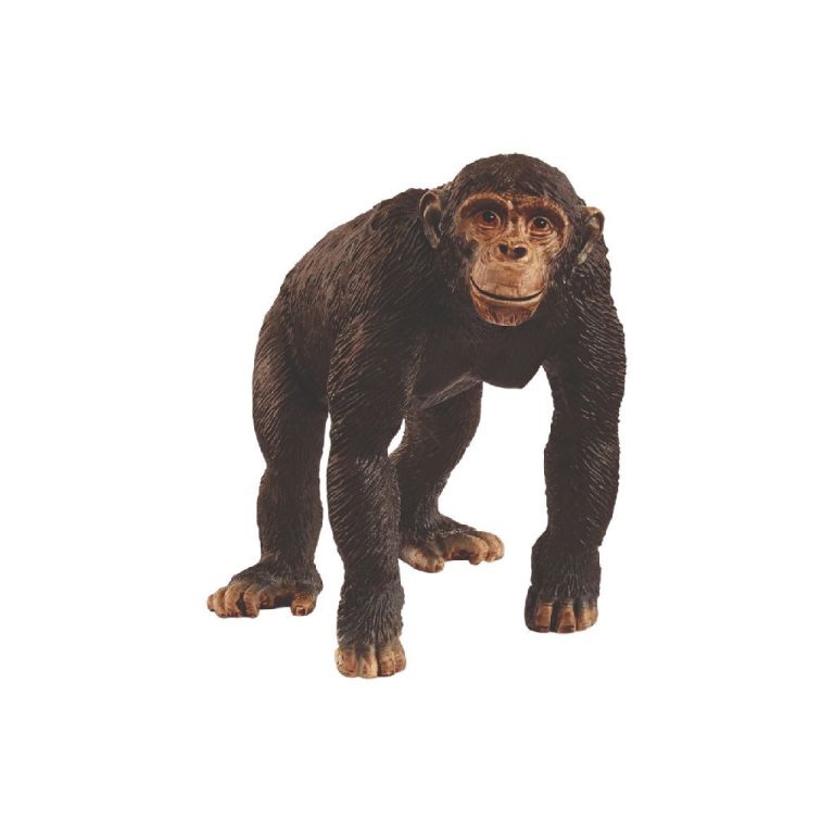 Schleich Wild Life Chimpansee | Kopen bij Flickmyhouse