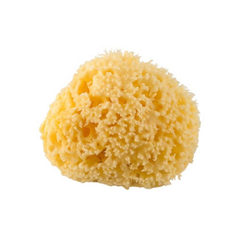 Rotho Mediterane Natuur Spons | Kopen bij Flickmyhouse