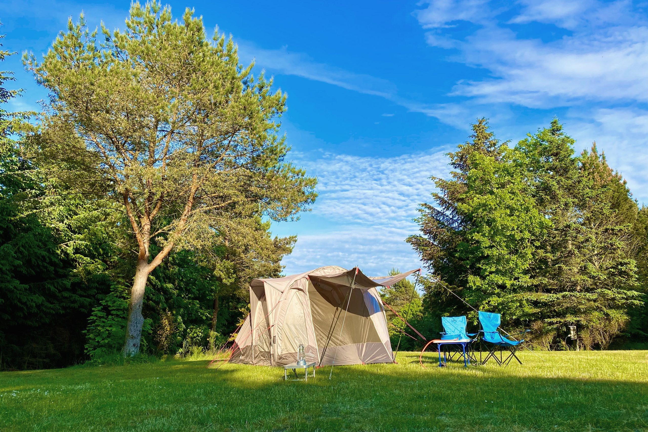 Tolne Camping | Reserveren bij Flickmyhouse