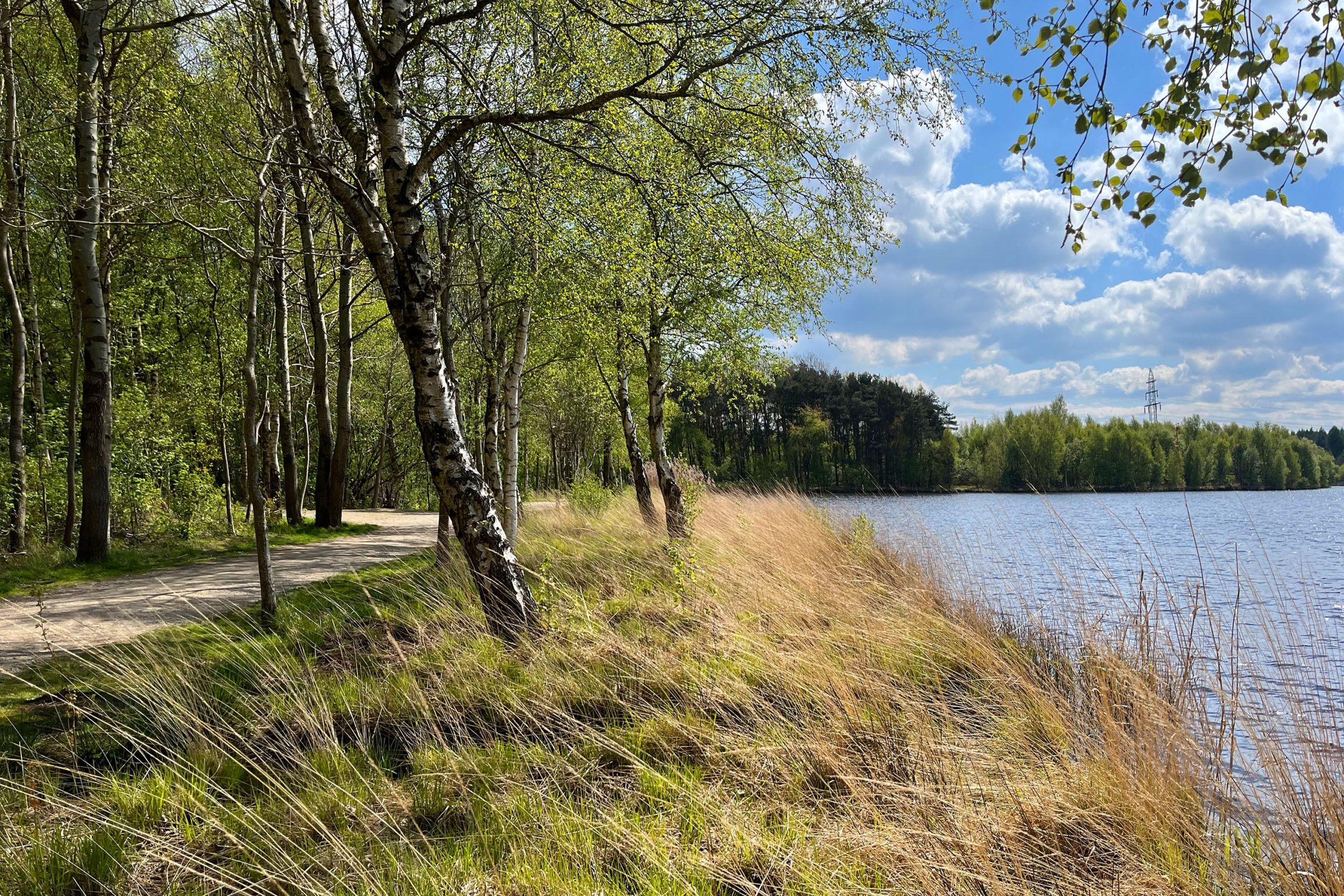 Cp. & Bungalowpark Ottermeer | Reserveren bij Flickmyhouse