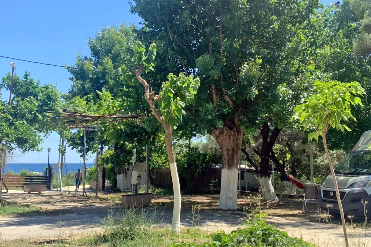 Camping & Bungalows Poros Beach | Reserveren bij Flickmyhouse