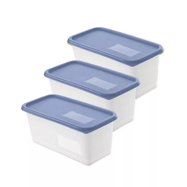 Rotho Domino Diepvriesdozen Etiket Decor 3x1.5L Horizon Blauw/Wit | Kopen bij Flickmyhouse