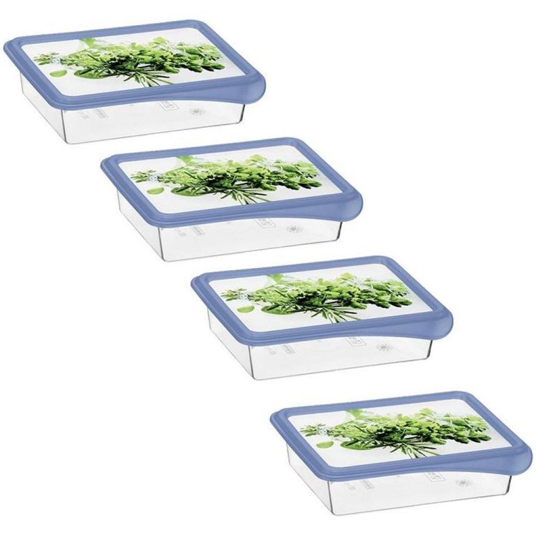 Rotho RONDO Diepvriesdozen Verse Kruiden 4x0.2L Horizon Blauw/Transparant | Kopen bij Flickmyhouse