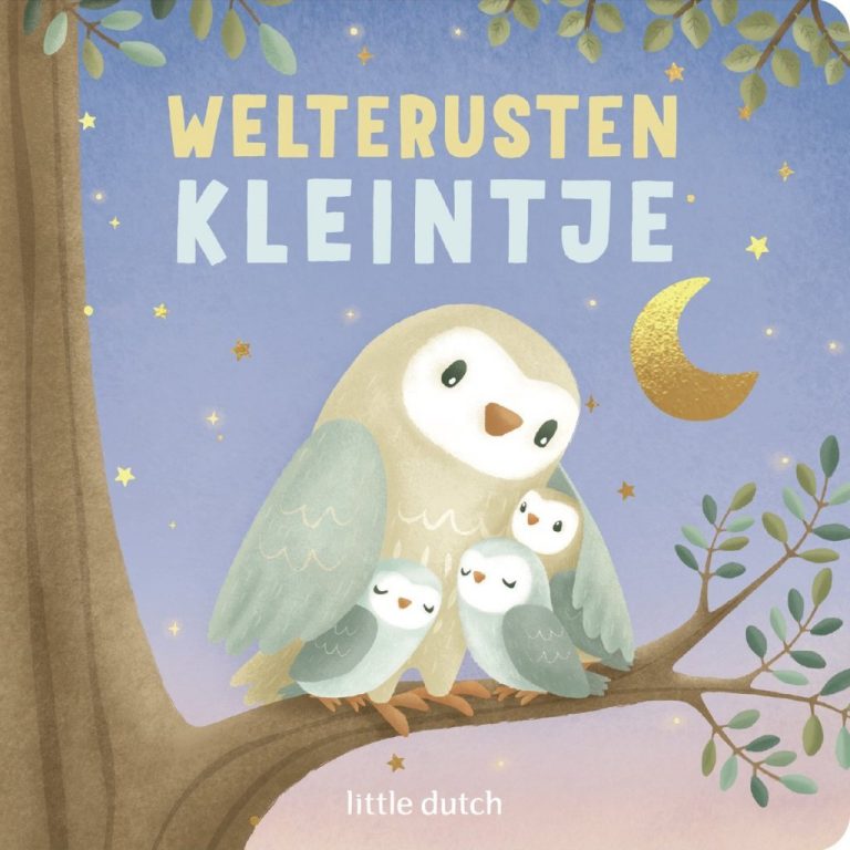 Little Dutch Boek Weltrusten Kleintje | Kopen bij Flickmyhouse