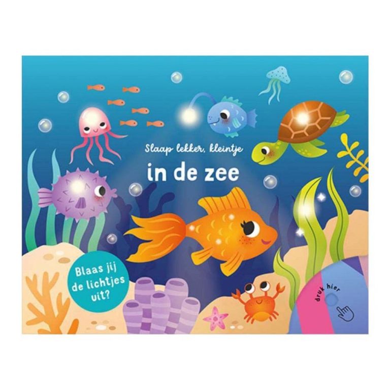 Boek Slaap Lekker Kleintje in de Zee + Licht | Kopen bij Flickmyhouse